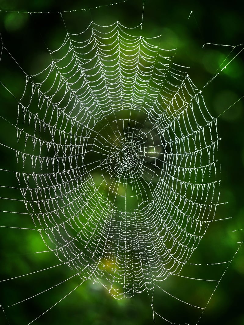 Underground Networks